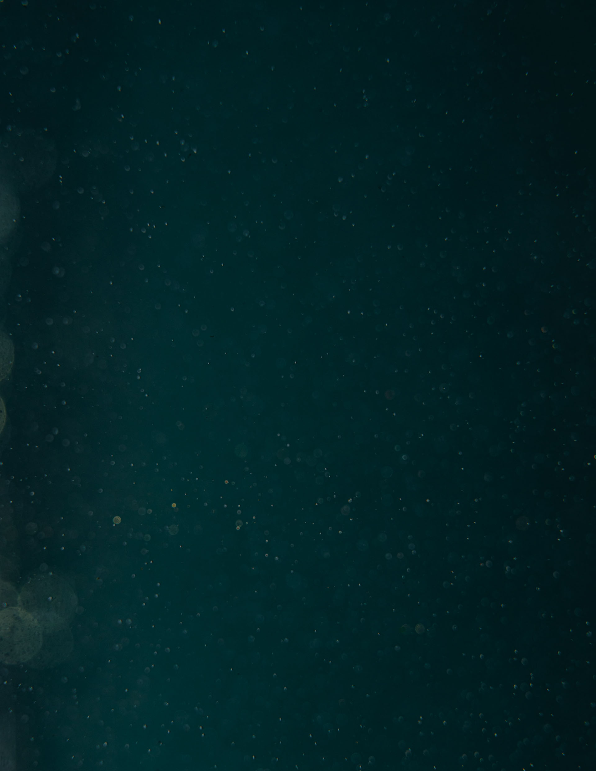 Hintergrund Jubiläum Info Text